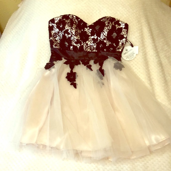 NWT Formal Dress with Lace Detail - Picture 3 of 6